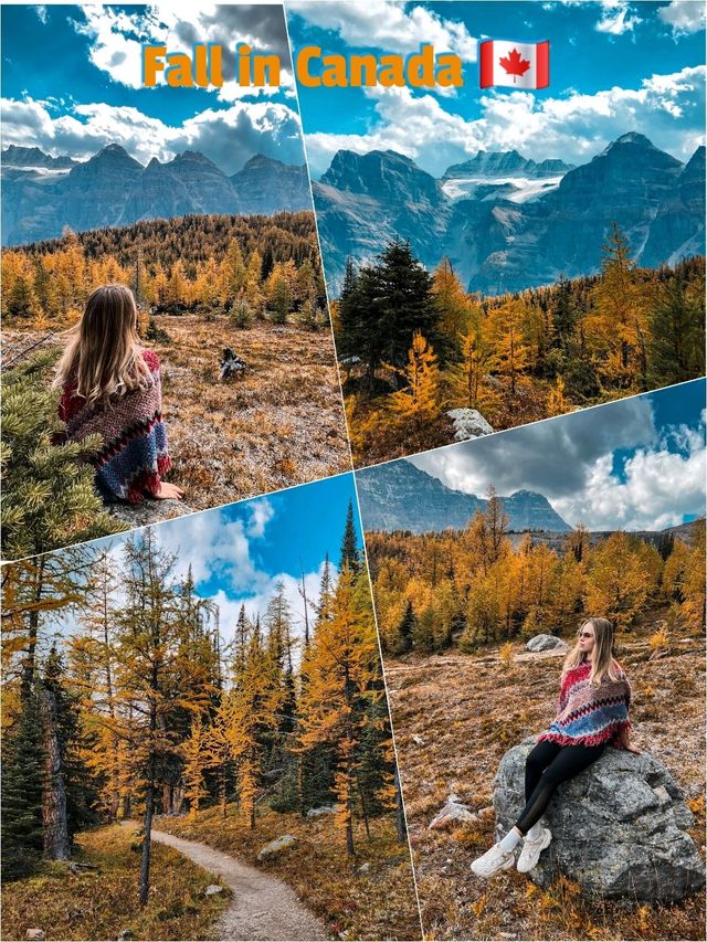 Haunted trails, golden tales ✨👻 Larch season in Canada🍁🇨🇦
