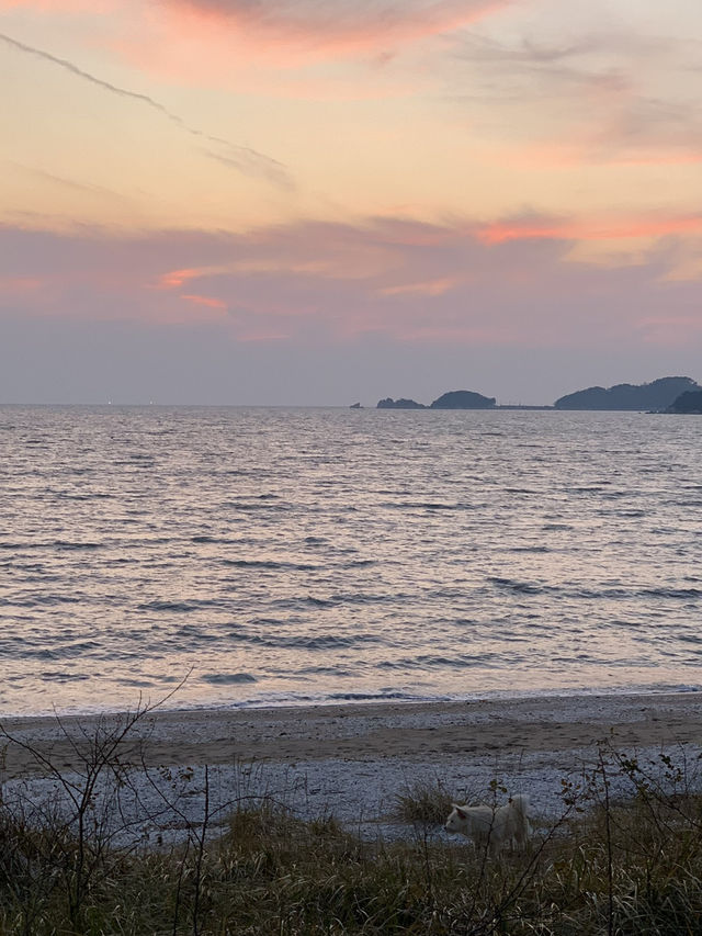 Best Korean seafood soup and beach lover๐๐ Best Korean seafood soup and beach lover๐๐