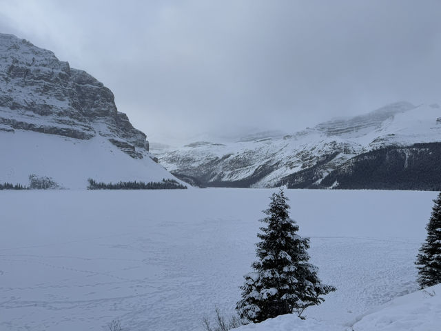 Bow Lake ทะเลสาบสุดอลังการ Bow Lake ทะเลสาบสุดอลังการ
