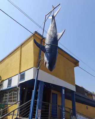 Caleta Portales Restaurant in the Port: Fresh seafood, bonus: see sea lions and pelicans