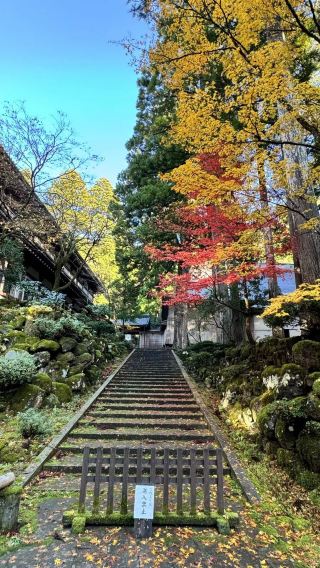 Chùa Eiheiji, Fukui 🇯🇵: Sắc thu tô điểm cho núi rừng, mang đến một bầu không khí thanh tịnh như thiền định 🍁