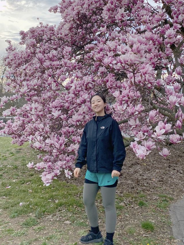 🇨🇭스위스 제네바 : 제네바의 봄꽃들 🌸💖