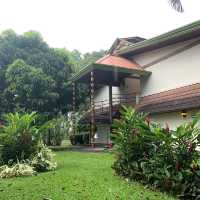 Fantastic one night stay in the rainforest 