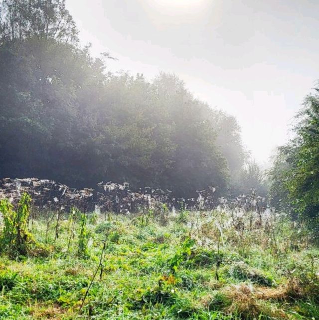 獲獎的Blackleach Country Park