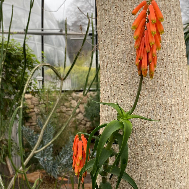 Botanical Garden Zurich 🗺️