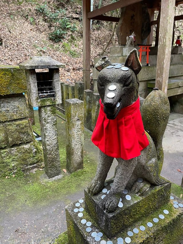 Exploring Kyoto's Fushimi Inari Shrine