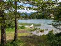 หนึ่งในทะเลสาบแสนสวยของเทือกเขา Dolomites