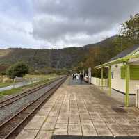 Discover Scenic Splendor on the Llanberis Lake Railway: A Family-Friendly Adventure!”