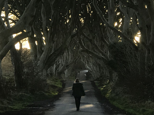 Dunluce Castle, Dark Hedges, and Cushendun Caves