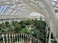 Kew Garden: World renowned botanic garden that on the UNESCO World Heritage list