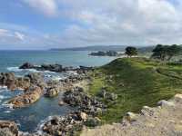 A beautiful coast where you can meet a variety of landscapes