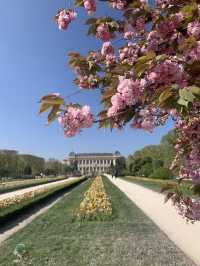 巴黎春天必須體驗百花齊放Jardin des Plantes
