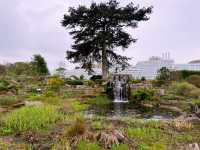 London’s Springtime Magic at Kew Gardens