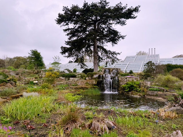 London’s Springtime Magic at Kew Gardens