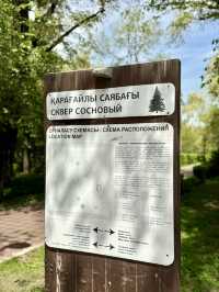 Spring Stroll at Pine Park, Almaty