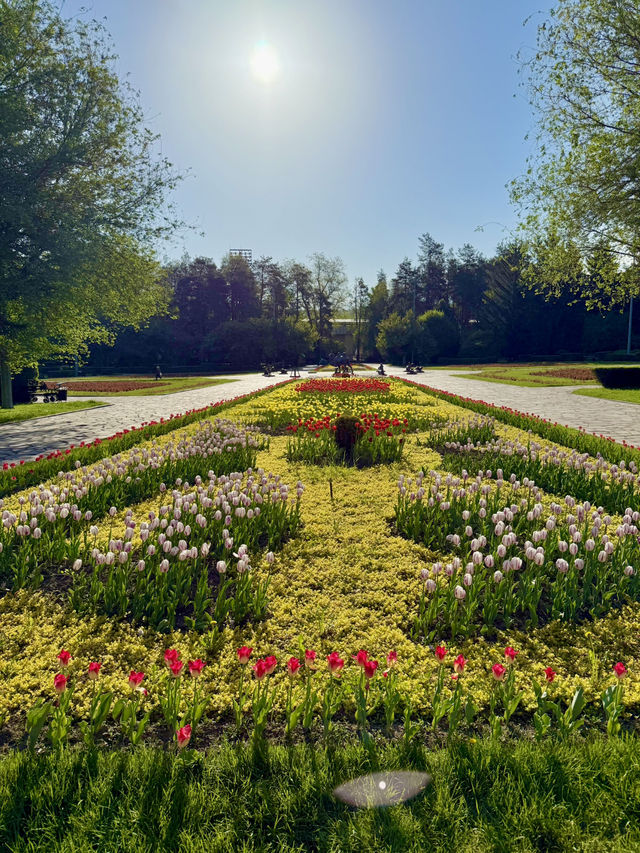Springtime Fun at Central Park, Almaty