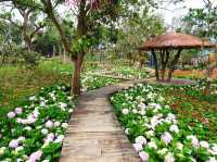 coco village 