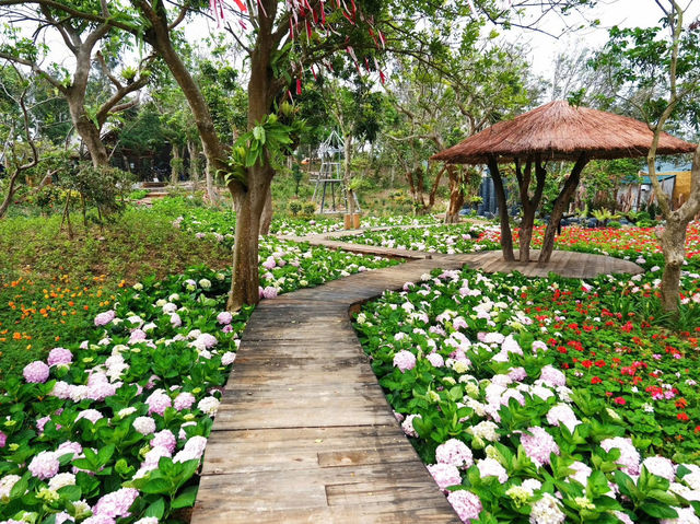coco village 