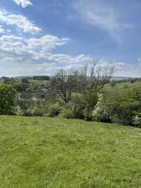 Bowland in the spring 