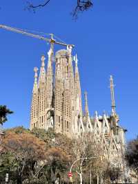 Vibrant Barcelona Guide 🌆🇪🇸