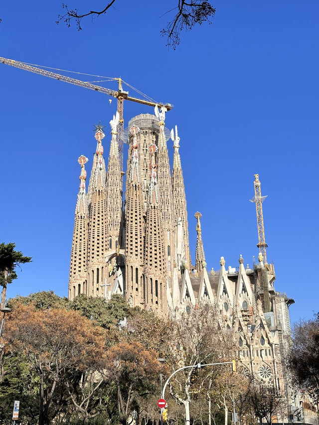 Vibrant Barcelona Guide 🌆🇪🇸