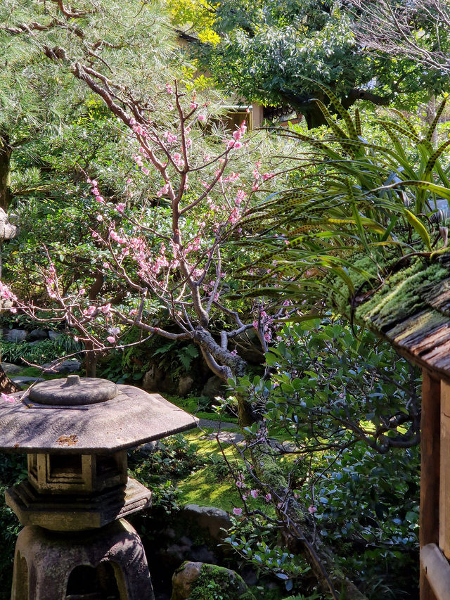 Ever wondered how the Samurai lived back in the day? Step into their world in Kanazawa