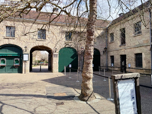 Castles to Capital: Commuting from Warwick to London