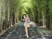 Chill days in paradise or 3 days of slow life in Bali 