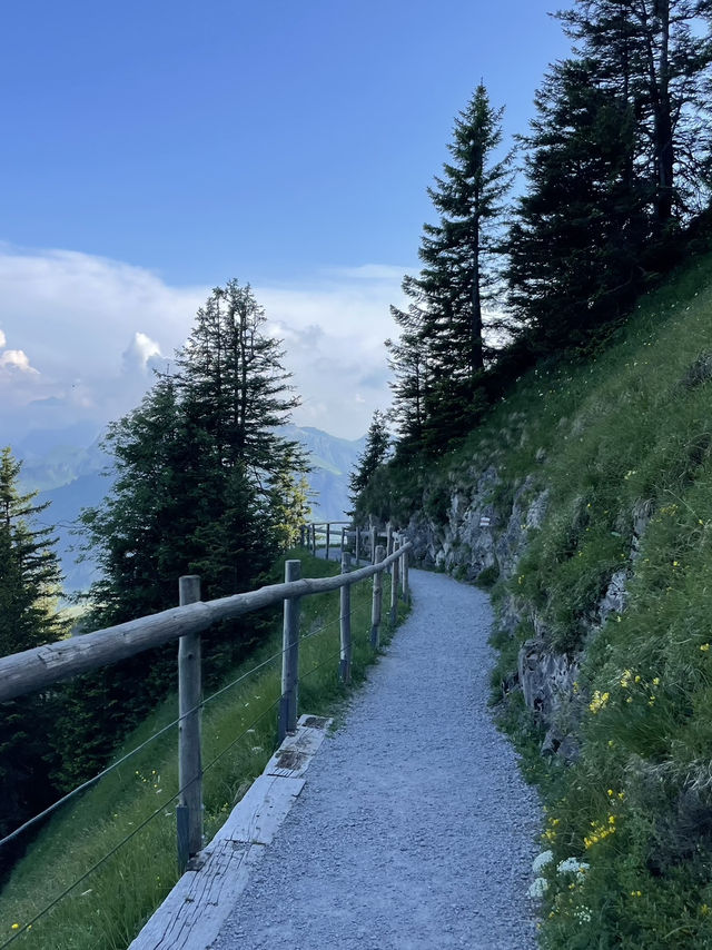 🇨🇭🚠 รีวิว Stanserhorn – ขึ้นกระเช้าหลังคาเปิด