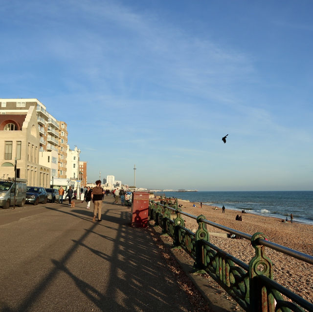 Brighton🇬🇧Quirky Charm by the Sea🌊