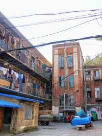A Quiet Charm in the North: A Day in Changchun