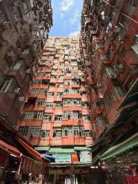 A Concrete Jungle Like No Other