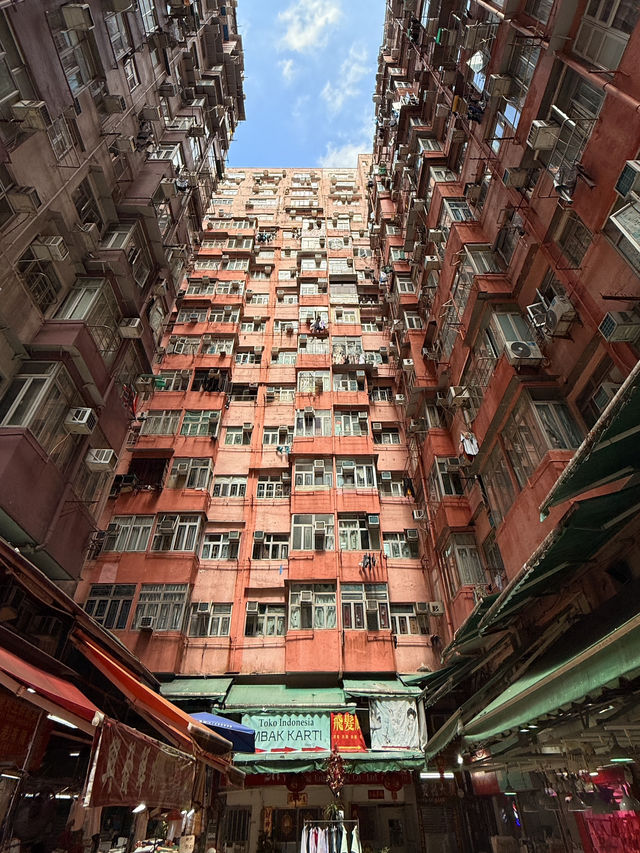 A Concrete Jungle Like No Other