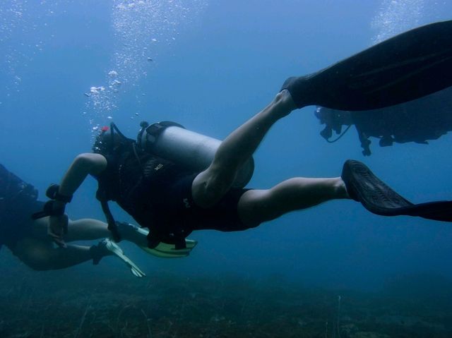 Diving into Ko Phi Phi