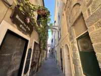 Day trip itinerary Genova-Finale Ligure and back