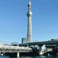 Tokyo: Where Tradition Meets Tomorrow