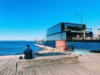 Спортивная набережная во Владивостоке