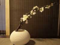 Shanghai | The cosy tea house with brilliant working space 