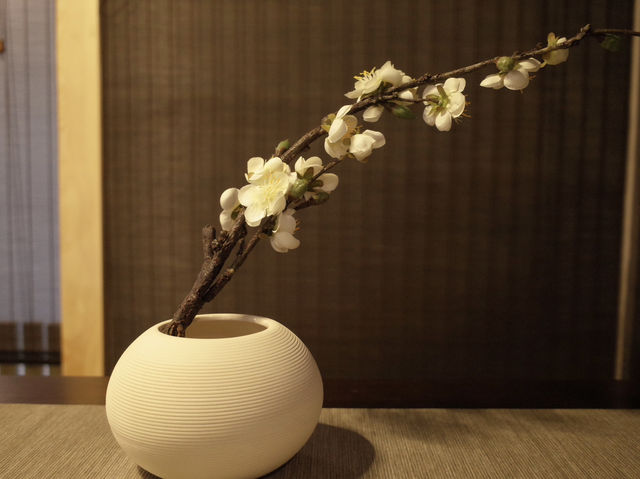 Shanghai | The cosy tea house with brilliant working space 