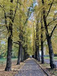 Oslo in a day