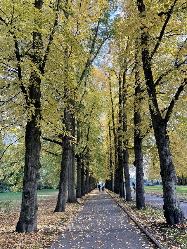 Oslo in a day