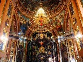 Majestic Mural Art✨