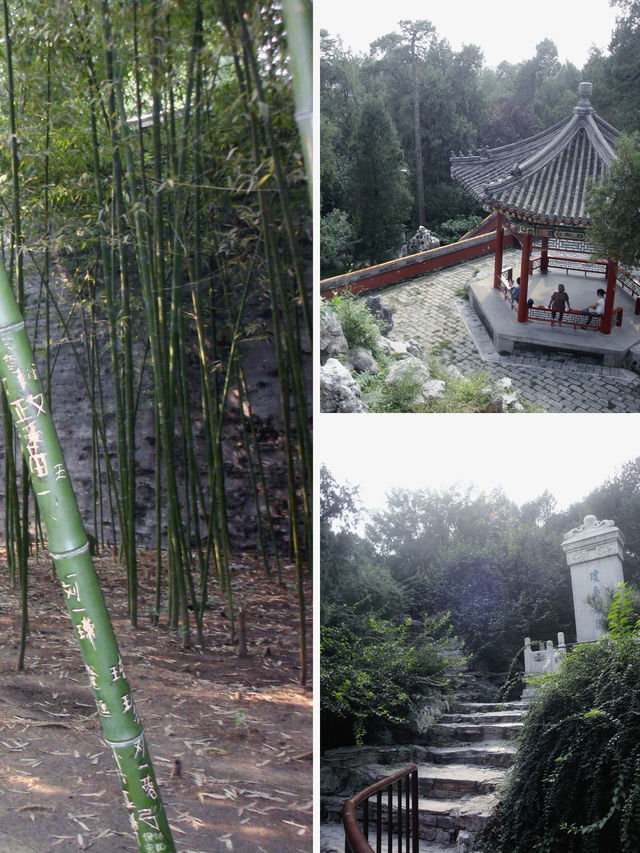 Forbidden Beauty🌸