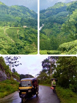 喀拉拉香料之旅 