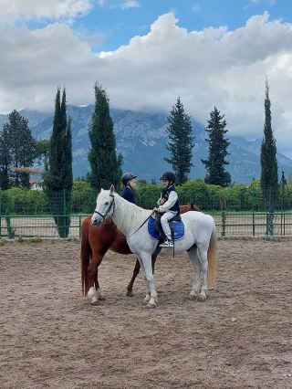 A stunning eco-hotel an hour from Antalya 🐎🏨