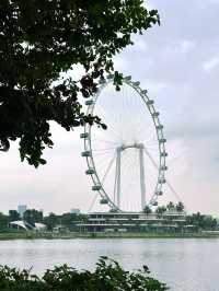 Garden’s by the Bay | Singapore