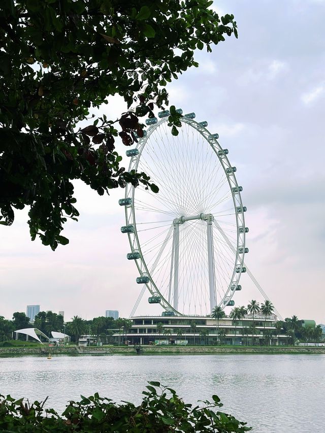 Garden’s by the Bay | Singapore