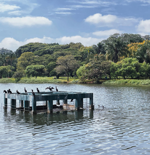 São Paulo · Ibirapuera Park