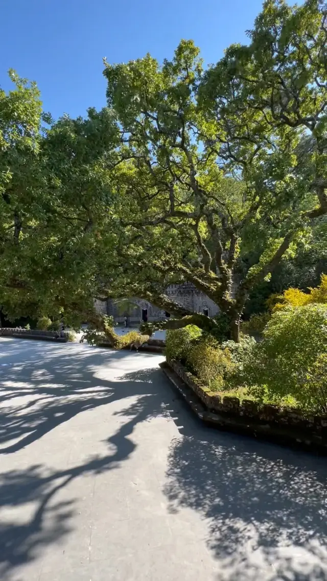 Immerse Yourself in the Enchanting Jardim da Quinta da Regaleira in Sintra, Lisbon, Portugal 🌳