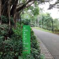 ✨打卡深圳鹽田區海山公園藝術塔🗼✨